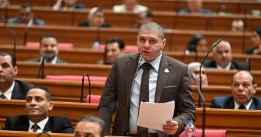 تحركات برلمانية مكثفة لمحاصرة أزمات البنية التحتية بـ "أكتوبر والواحات".. و"زراعة النواب" تفتح ملف نقص الأسمدة الثلاثاء