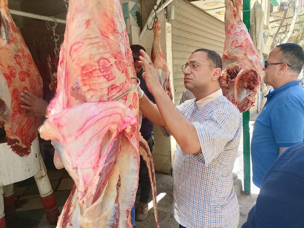 تموين المنيا: تحرير 4384 محضرًا خلال حملات رقابية على المخابز والأسواق يونيو الماضى