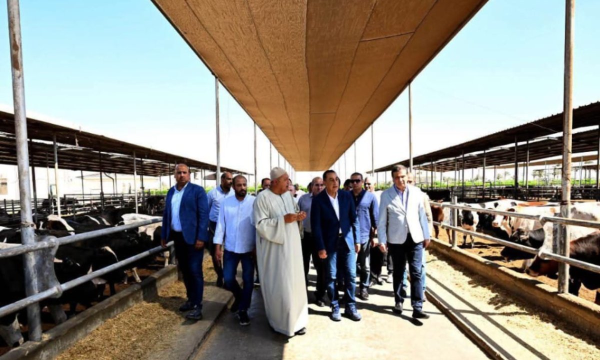 بالصور.. رئيس الوزراء يتفقد مزرعة "العمار" لتنمية الثروة الحيوانية