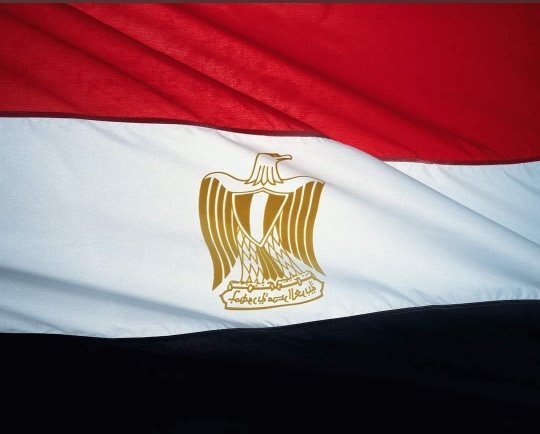 مصر ترحب بقرار مجلس الوزراء البلجيكي بحظر استيراد السلع والمنتجات من المستوطنات الإسرائيلية في الأراضي الفلسطينية المحتلة