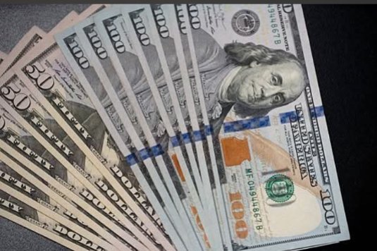 استقرار سعر الدولار في مستهل تعاملات اليوم بالبنوك المصرية