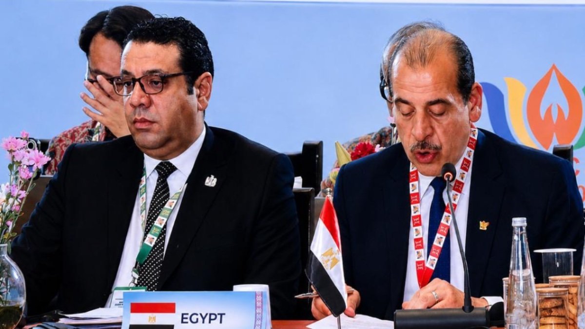 تجربة مصر الصحية تتصدر اجتماع وزراء بريكس.. إصلاحات وإنجازات عالمية