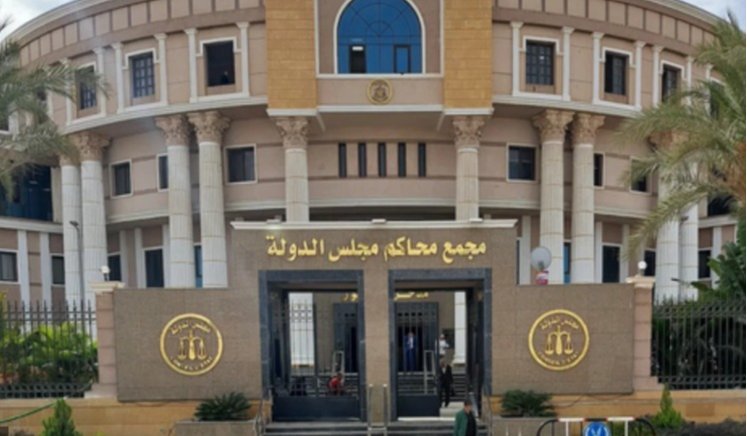 «الإدارية العليا» تنتصر لحق موظفة في المعاش المبكر وترفض طعن التأمينات