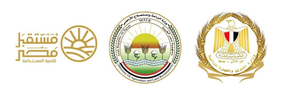 الحكومة تزف بشرى سارة للمواطنين: خفض جديد في سعر السكر.. وطرح الكيلو بـ25 جنيهًا بالمجمعات الاستهلاكية ومنافذ الزراعة ومستقبل مصر غدًا