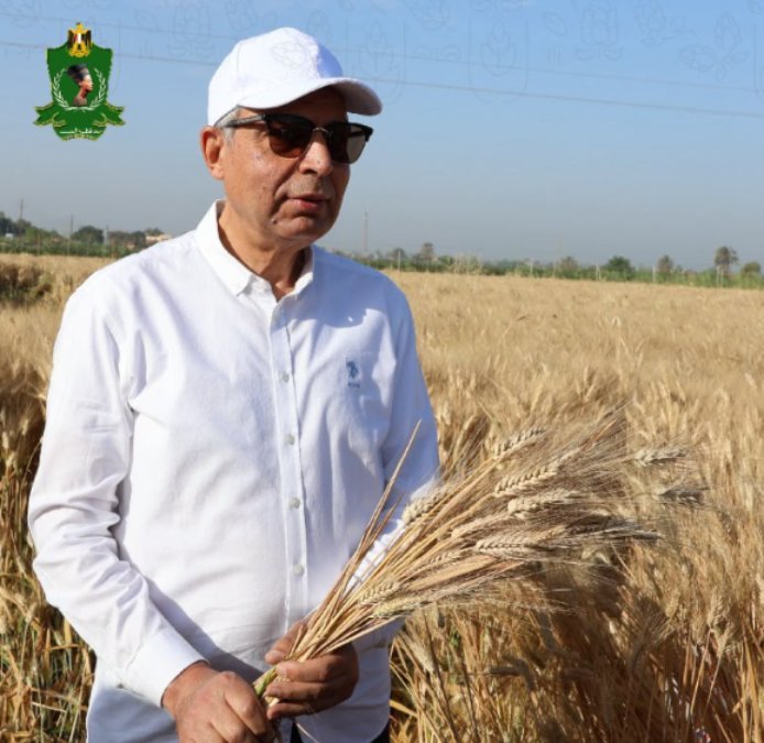محافظ المنيا: توريد 537 ألف طن قمح.. ورقابة مشددة على منظومة التوريد