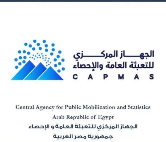 ( 0.1%).. الإحصاء تكشف عن  معدل التضخم الشهري لشهر يوليو 2026