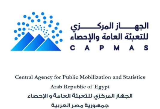الإحصاء 81٪ من العلامات التجارية ممنوحة للمصريين عام 2025