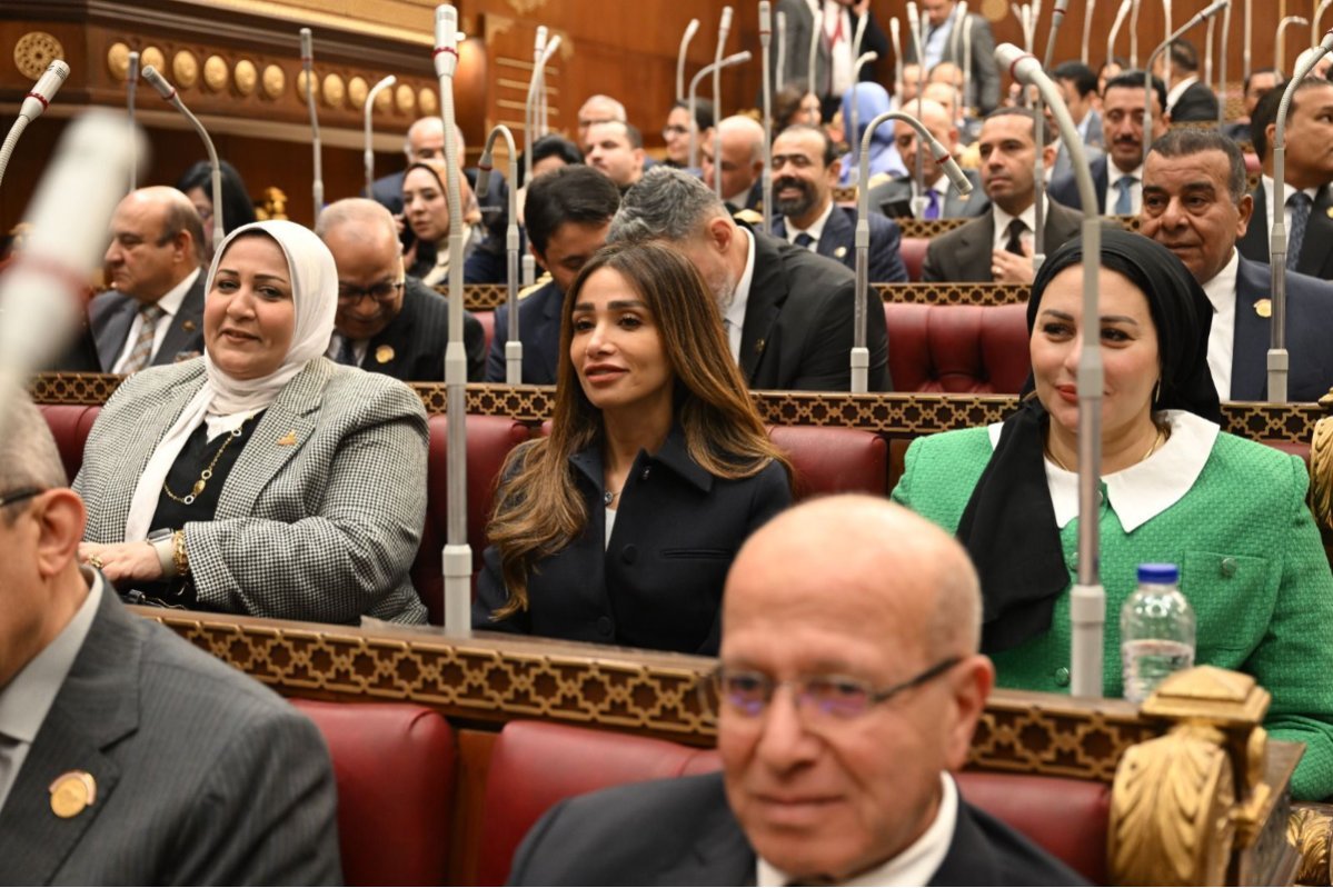 برلمانية: توجيهات الرئيس السيسي تنتصر لحقوق المواطن وتواجه التقديرات الجزافية لفواتير الكهرباء