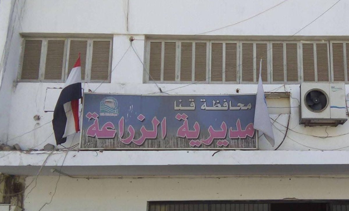 زراعة قنا: صرف 580 ألف شكارة أسمدة للموسم الصيفي حتى الآن