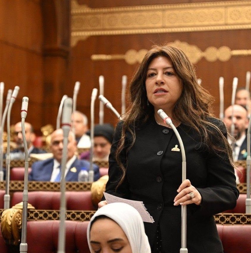 النائبة سوزي سمير: الرئيس السيسي يترجم العلاقات التاريخية مع الصين إلى شراكة اقتصادية وتنموية متكاملة