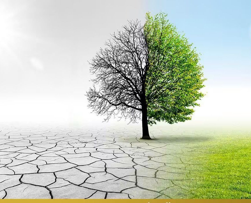 مصر تفوز بإجماع دولي لاستضافة مؤتمر الأمم المتحدة لمكافحة التصحر COP18 عام 2028