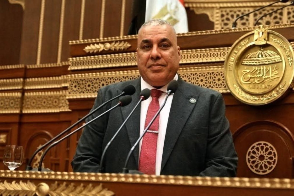 النائب محمد أبو النصر: الجولة الآسيوية للرئيس السيسي تفتح مسارات جديدة للتعاون الاقتصادي
