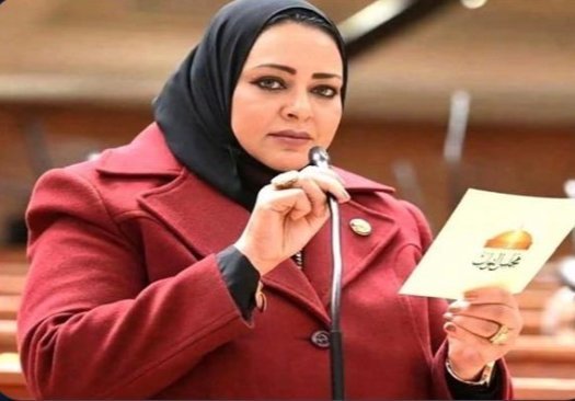 مجلس النواب يقف دقيقة حدادًا على النائبة أماني أبو سحلي ويبدأ إجراءات خلو مقعدها