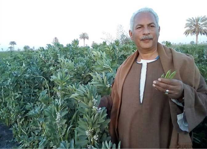 «الطماطم على موعد مع الزيادة».. حسين يكشف لـ«خمسة سياسة» توقعاته لأسعار نهاية أكتوبر