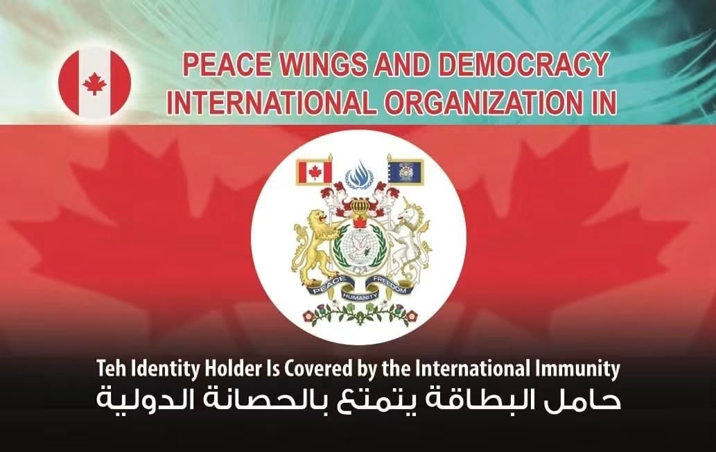 «مستشار وخبير في مكافحة النصب».. من هو إسلام السادات الذي أعلن الظهور عبر قناة الشمس رغم اتهامه في قضية تزوير؟