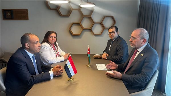 مصر والأردن يدعوان إلى وقف فوري لإطلاق النار في غزة