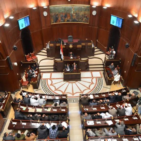 برلماني: التجربة المصرية تقود العالم لفهم خطر جماعة الإخوان