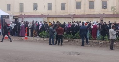 اليوم ثانى أيام المرحلة الثانية لانتخابات مجلس النواب 2025