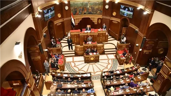 مصر تعزز دورها في تعزيز اللحمة العربية وتؤكد رفض تصفية القضية الفلسطينية