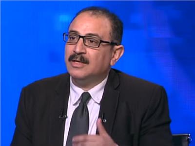 أستاذ علوم سياسية: مصر واجهت الإرهاب برؤية مستقلة بعد 11 سبتمبر