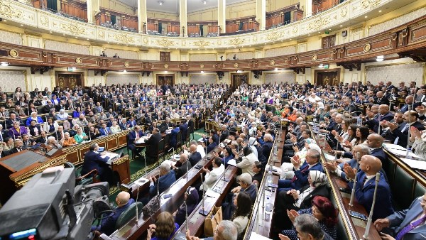 برلماني: مصر تمتلك مقومات صياغة شراكات اقتصادية وتجارية واعدة مع القارة الأفريقية