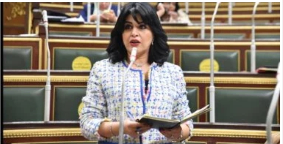 هند رشاد: دعوات التظاهر ضد مصر مخطط إخواني فاشل لتشويه الدور الوطني في دعم فلسطين