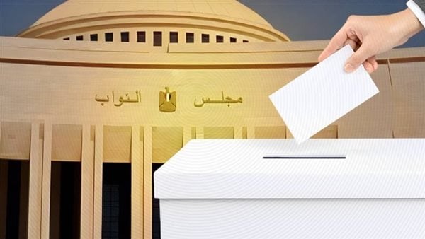 المواطنون يصطفون أمام اللجان منذ الصباح الباكر.. حضور كثيف للتصويت في الانتخابات البرلمانية بدائرة الرمل بالإسكندرية