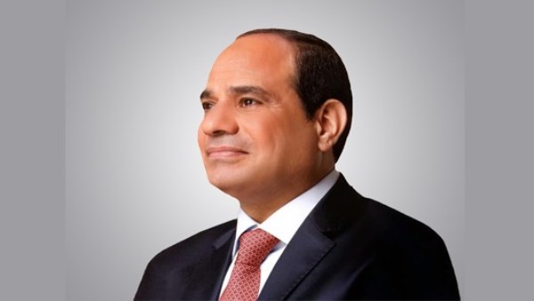 نائب: توجيهات السيسي تعزز الاستقرار الاقتصادي وتدفع التنمية