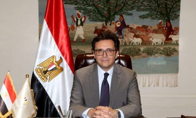 عودة المهرجان القومي للسينما المصرية في دورته الـ25 “اليوبيل الفضي”