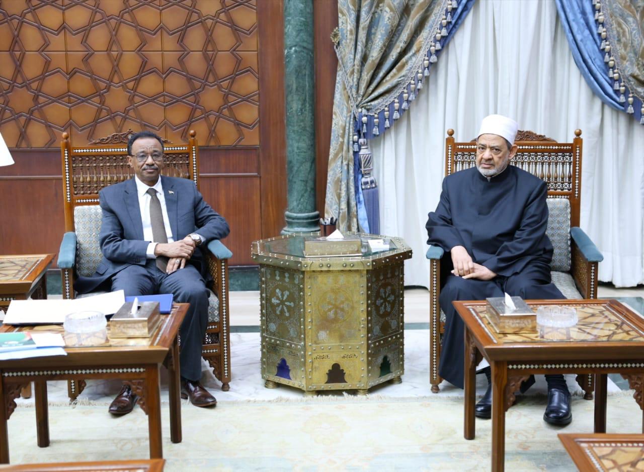 شيخ الأزهر يعزي الشعب السوداني في ضحايا حادث الهجوم الإرهابي على مسجد "الفاشر"