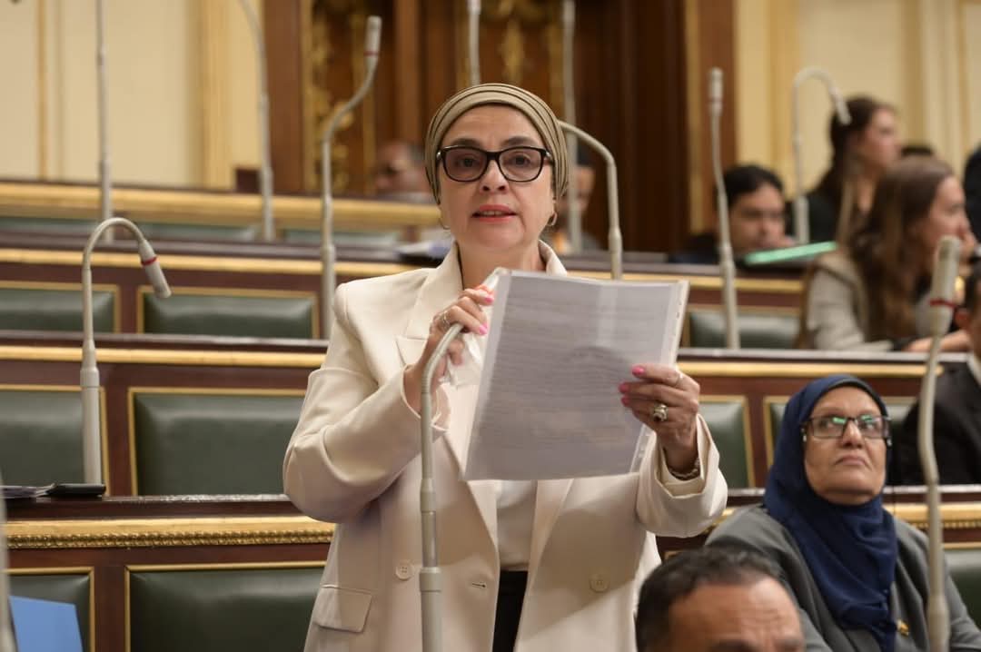 سميرة الجزار تطالب بتطبيق مبدأ المعاملة بالمثل لحماية المصريين والسفارات بالخارج