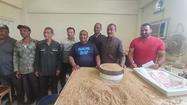 محافظ سوهاج: توريد 5801 طن من القمح وتجهيز 15 موقعًا لاستقبال المحصول