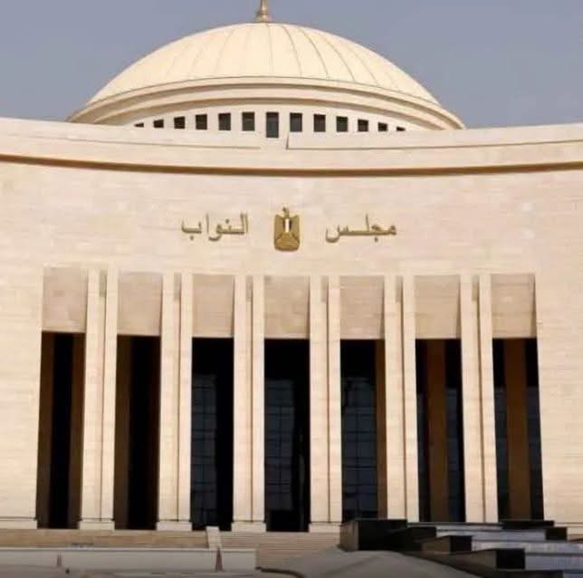 برلماني يقترح ضوابط صارمة لحماية الأطفال من مخاطر الهواتف والسوشيال ميديا