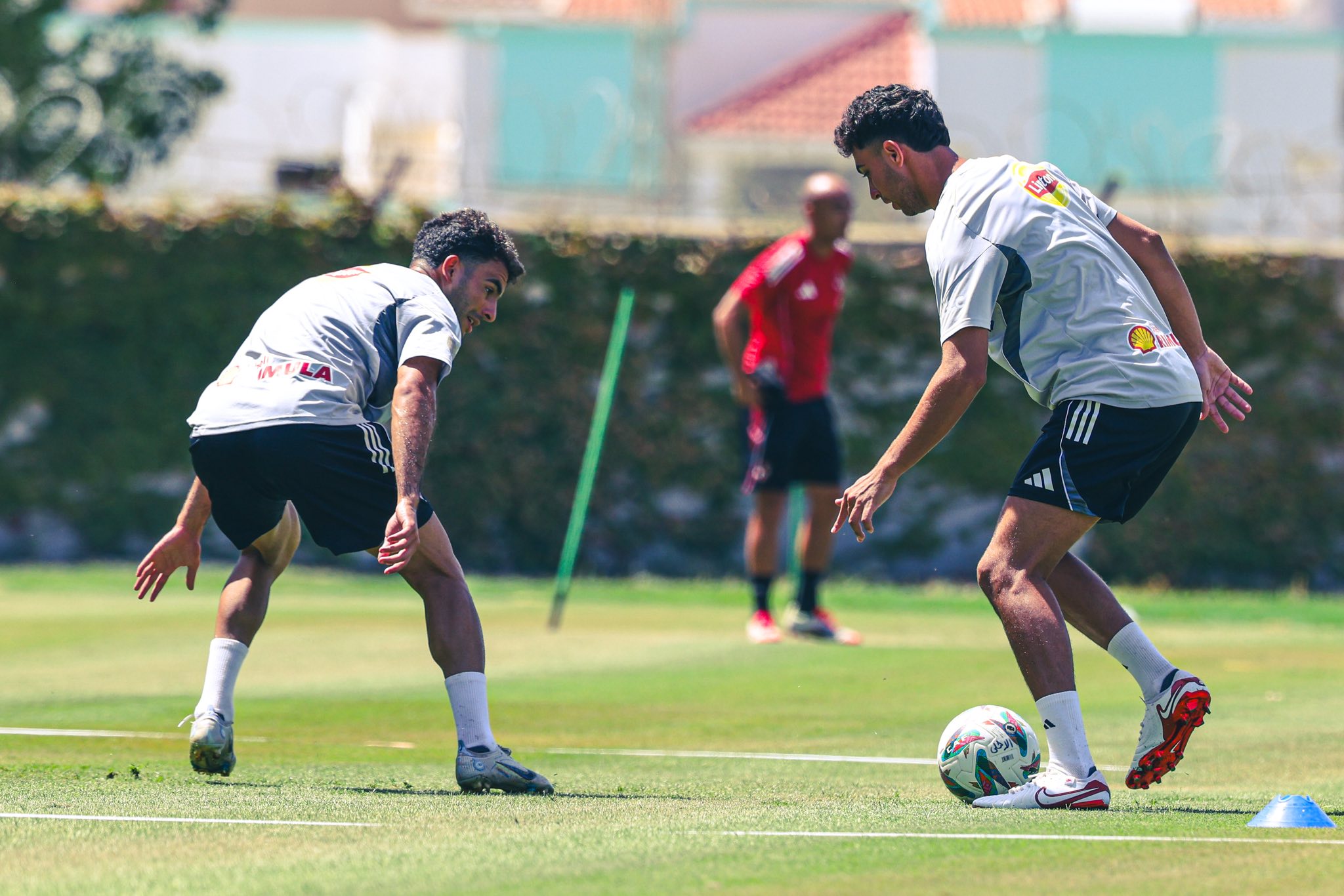 الأهلي يواصل تدريباته في تونس استعدادًا للموسم الجديد