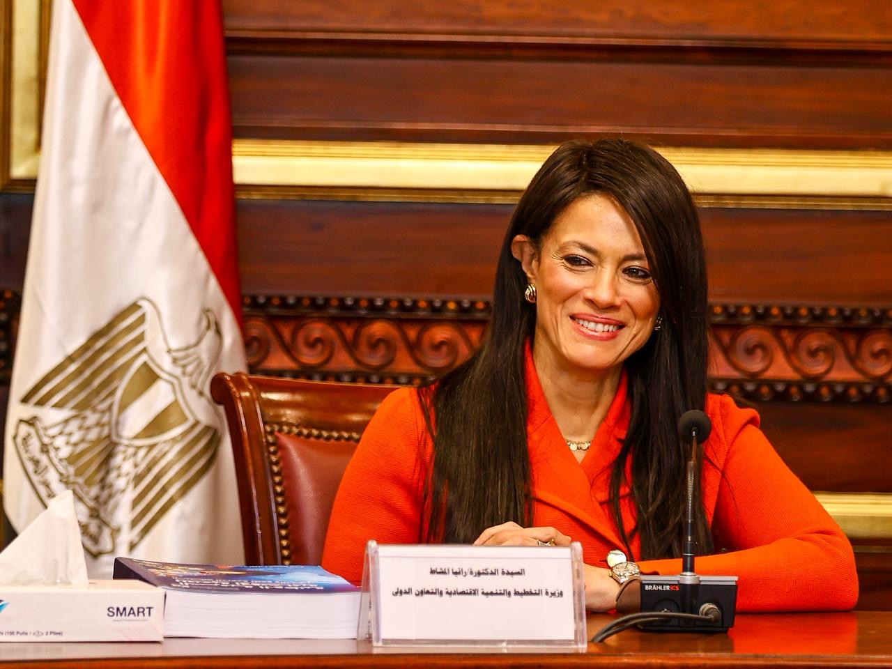 من التخطيط إلى التنفيذ: كيف دعمت وزارة التخطيط التنمية المستدامة في 2025
