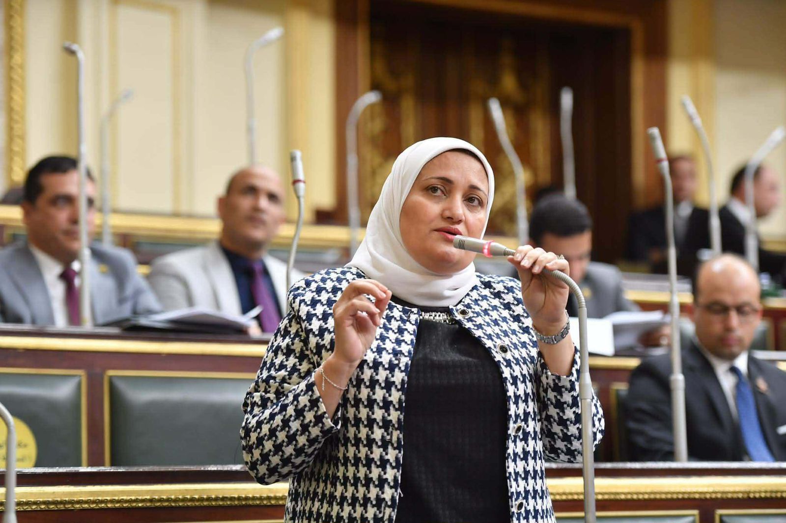 طلب إحاطة برلماني حول تبوير الأراضي الزراعية وتهديد الأمن الغذائي