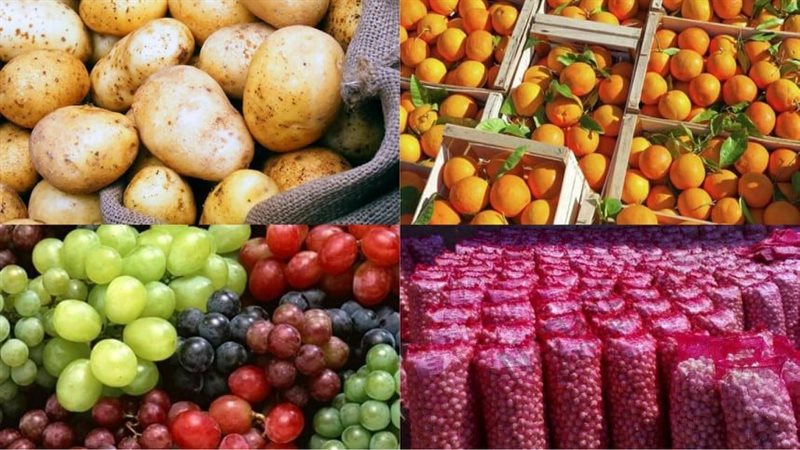 أسعار الخضراوات والفاكهة في أول أيام رمضان 2026  الاستقرار والتباين