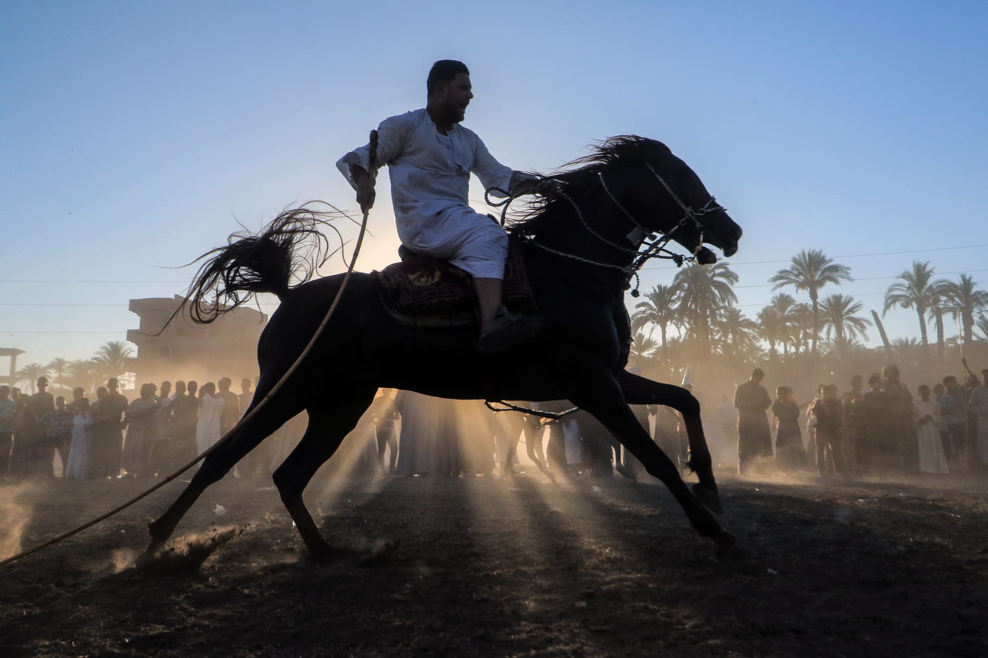 صعيد مصر.. "منجم الذهب" الكروي ومصنع الرجال الذين غزوا منصات التتويج