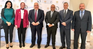 مصر وقبرص تعززان الربط الطاقي: وفد وزارة البترول يبحث تنفيذ ربط الغاز القبرصي بالتسهيلات المصرية