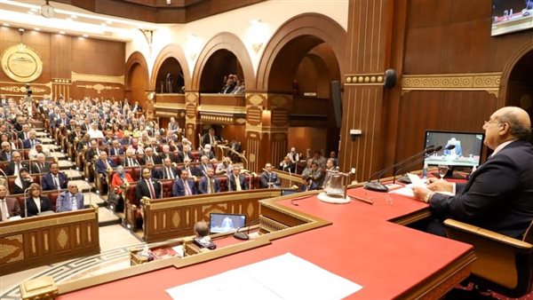 برلمانية بـ"الشيوخ" تطرح قضية التنمر بالمجلس.. وتطالب باستيضاح سياسة الحكومة لمواجهتها