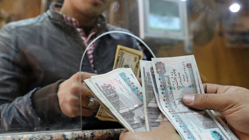 الشيوخ: زيادة الأجور ودعم الفلاحين خطوة مهمة لتخفيف أعباء المعيشة