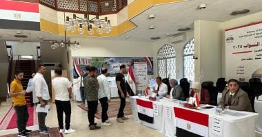إقبال متزايد للمصريين في الإمارات مع انطلاق تصويت الدوائر الملغاة بانتخابات مجلس النواب 2025