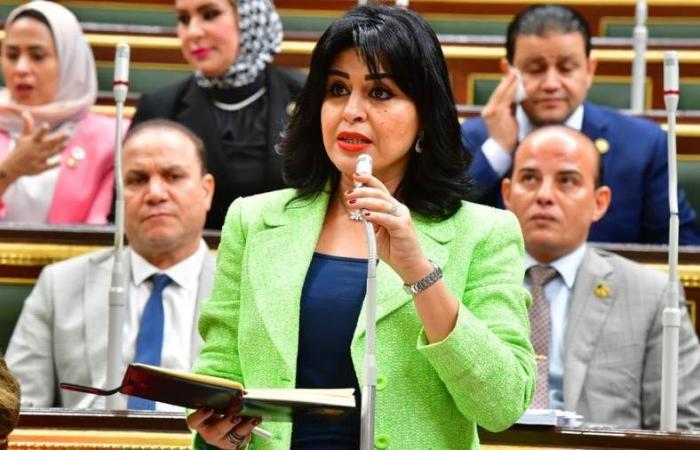 برلمانية: المولد النبوي فرصة لتعزيز القيم الأخلاقية وتجديد العهد مع الوطن
