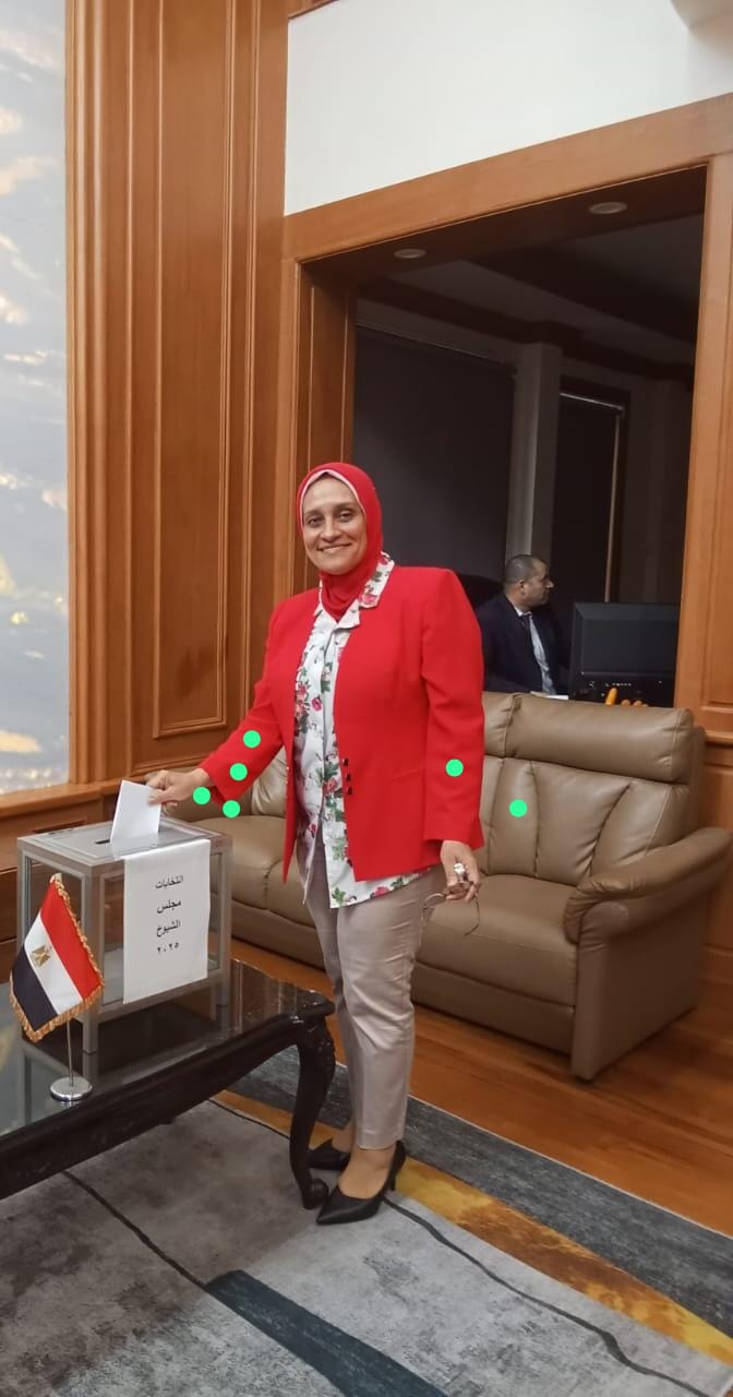 11 لجنة انتخابية فى القارة الإفريقية تفتح أبوابها لاستقبال الناخبين المصريين