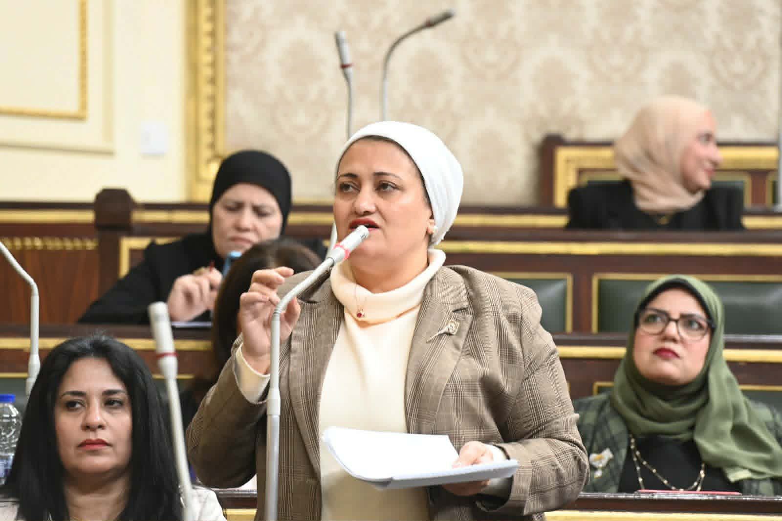 النائبة سناء السعيد عضواً بلجنة القيم بمجلس النواب