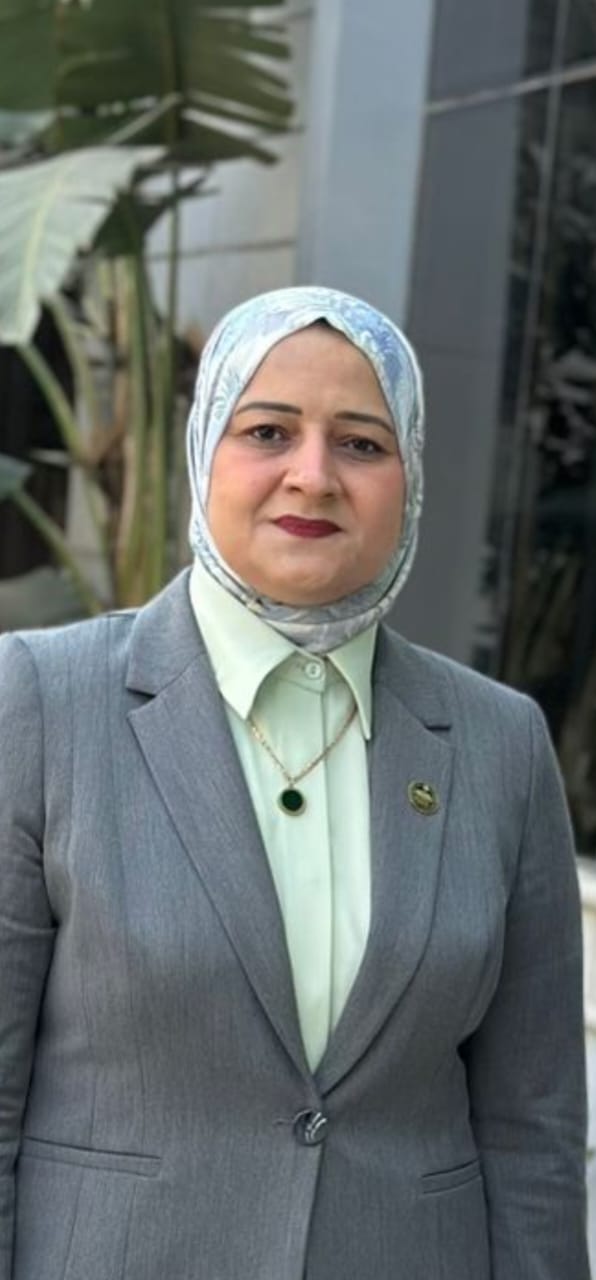 امين طاقه الشيوخ اتفاقيات التمويل الجديدة تعزز قدرات شبكة الكهرباء وتدعم التحول الطاقي في مصر