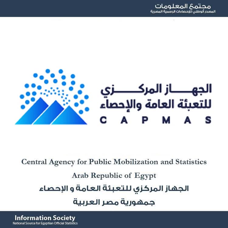 الإحصاء: 11.6 مليون مشترك بالإنترنت فائق السرعة و84.2 مليون اشتراك إنترنت محمول