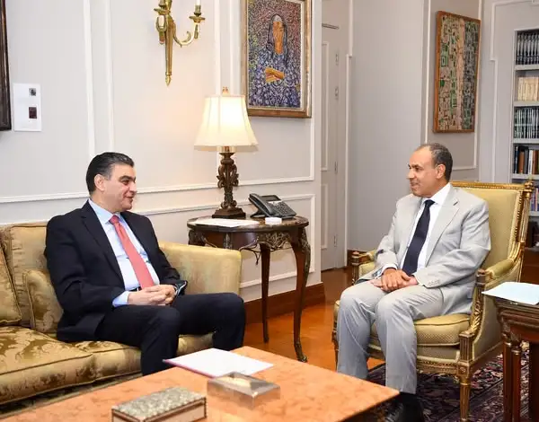 وزير الخارجية يلتقي رئيس هيئة الشراء الموحد لبحث تعزيز تصدير الدواء المصري إلى القارة الإفريقية