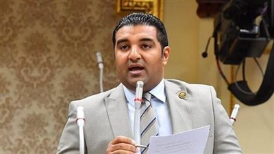 الرسوم الكربونية الأوروبية.. تحدٍ بيئي أم عقبة تجارية أمام الصناعة المصرية؟ برلماني يوضح