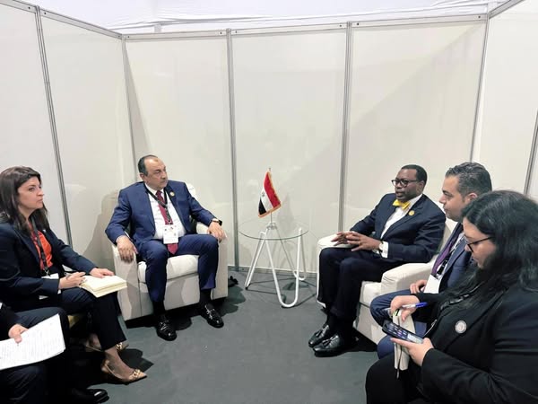 وزير قطاع الأعمال يلتقي رئيس مجموعة البنك الأفريقي للتنمية على هامش قمة لوندا